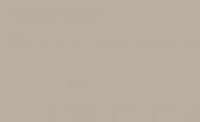 Sandstone (Optional*)