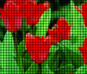 ThruVision Plus Screen