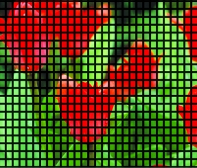 Industry Standard Screen